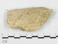 登錄號:F0006572藏品圖，第3張