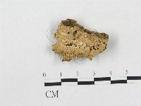 登錄號:F0006573藏品圖，第1張