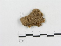 登錄號:F0006573藏品圖，第3張
