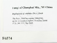 登錄號:F0006574藏品圖，第2張