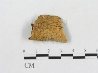 登錄號:F0006574藏品圖，第1張