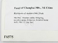 登錄號:F0006575藏品圖，第2張