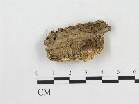 登錄號:F0006575藏品圖，第1張