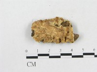 登錄號:F0006575藏品圖，第3張