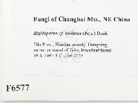 登錄號:F0006577藏品圖，第2張