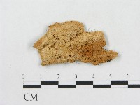 登錄號:F0006577藏品圖，第1張