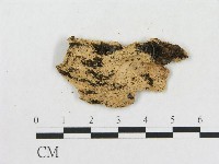 登錄號:F0006577藏品圖，第3張