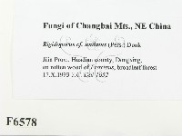 登錄號:F0006578藏品圖，第2張