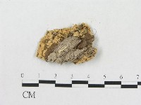 登錄號:F0006578藏品圖，第1張