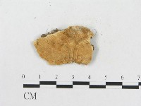 登錄號:F0006578藏品圖，第3張