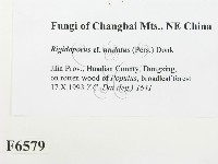登錄號:F0006579藏品圖，第2張