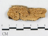 登錄號:F0006579藏品圖，第1張
