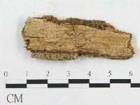 登錄號:F0006579藏品圖，第3張
