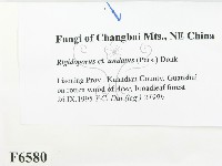 登錄號:F0006580藏品圖，第2張