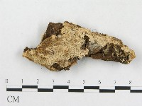 登錄號:F0006580藏品圖，第1張