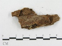登錄號:F0006580藏品圖，第3張