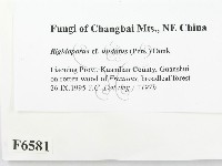 登錄號:F0006581藏品圖，第2張