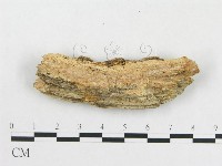 登錄號:F0006581藏品圖，第1張
