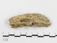 登錄號:F0006581藏品圖，第3張