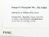 登錄號:F0006582藏品圖，第2張