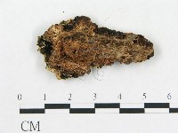 登錄號:F0006582藏品圖，第1張