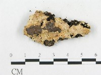 登錄號:F0006582藏品圖，第3張