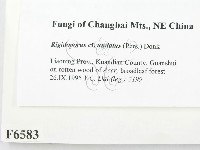 登錄號:F0006583藏品圖，第2張