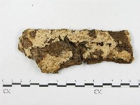 登錄號:F0006583藏品圖，第1張