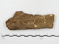 登錄號:F0006583藏品圖，第3張