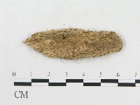 登錄號:F0006584藏品圖，第3張