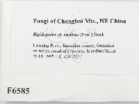 登錄號:F0006585藏品圖，第2張