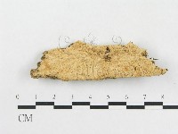 登錄號:F0006585藏品圖，第1張