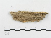 登錄號:F0006585藏品圖，第3張