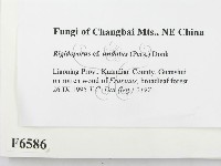 登錄號:F0006586藏品圖，第2張