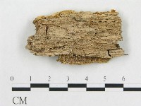 登錄號:F0006586藏品圖，第3張