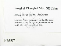 登錄號:F0006587藏品圖，第2張