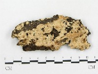 登錄號:F0006587藏品圖，第1張