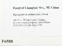 登錄號:F0006588藏品圖，第2張