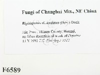 登錄號:F0006589藏品圖，第2張