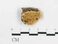 登錄號:F0006589藏品圖，第3張