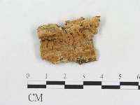 登錄號:F0006590藏品圖，第1張