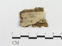 登錄號:F0006590藏品圖，第3張