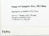 登錄號:F0006591藏品圖，第2張