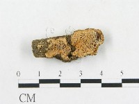 登錄號:F0006591藏品圖，第1張