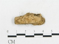 登錄號:F0006591藏品圖，第3張