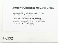 登錄號:F0006592藏品圖，第2張