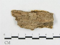 登錄號:F0006592藏品圖，第3張