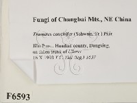 登錄號:F0006593藏品圖，第2張