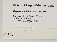 登錄號:F0006594藏品圖，第2張