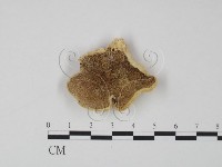 登錄號:F0006608藏品圖，第1張